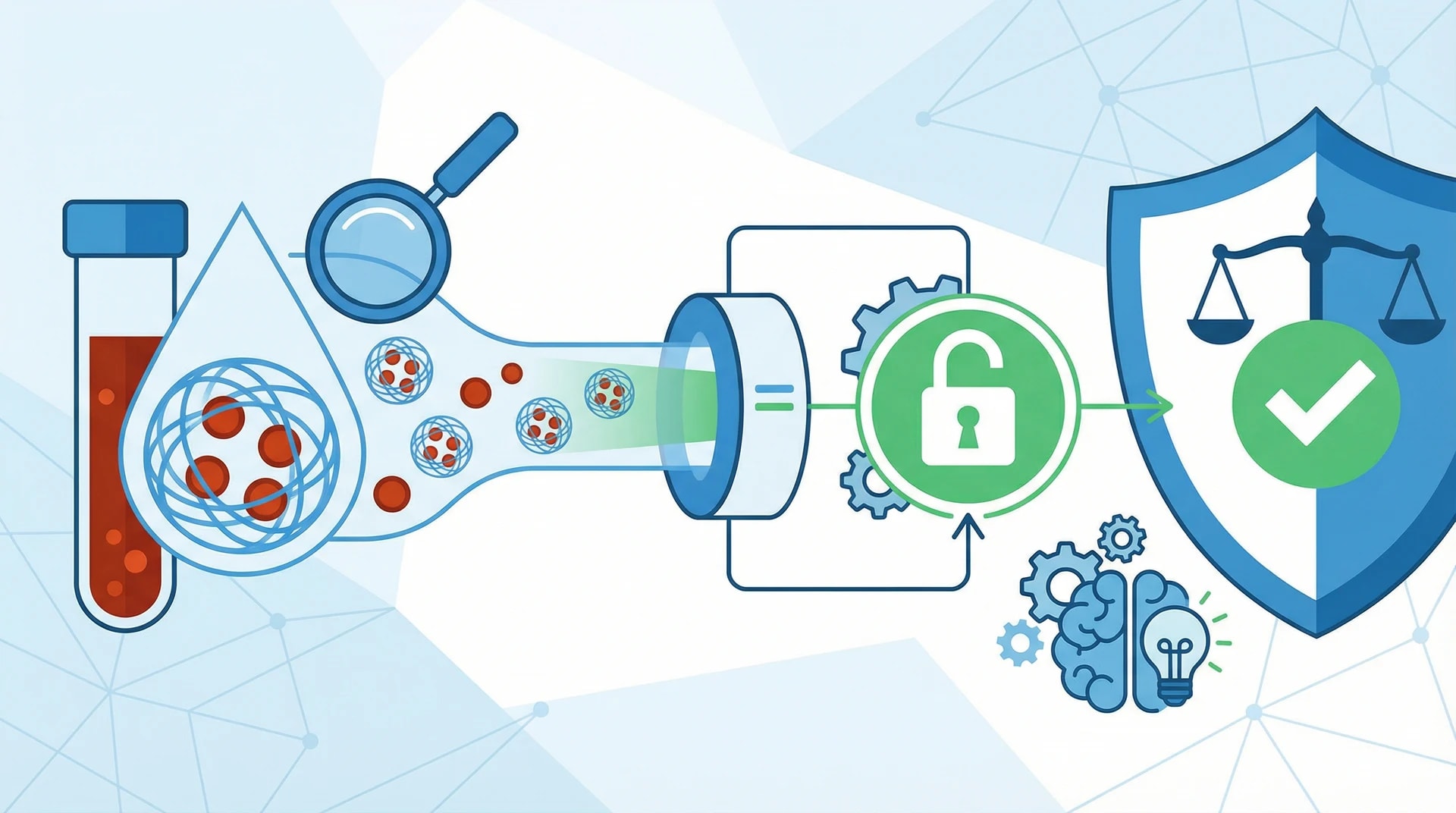 Анализ на ферритин: полная расшифровка результатов для понимания железа в вашем организме