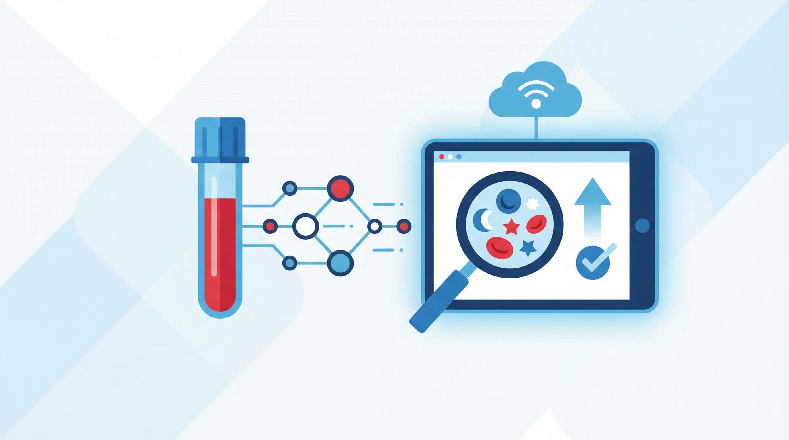 Расшифровка общего анализа крови онлайн: пошаговое руководство для понимания своих результатов в 2025 году
